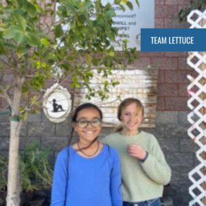 SCVi DreamUp Team Lettuce