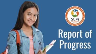 SCVi Report of Progress